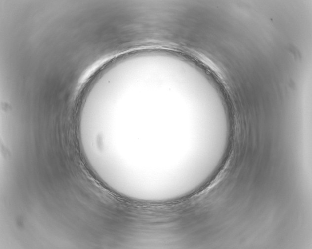 X0000090961310200708021113