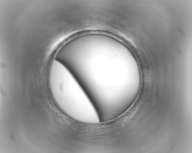 X0000090961311200708021113