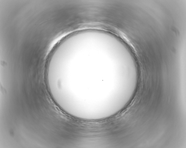 X0000090961312200708021113