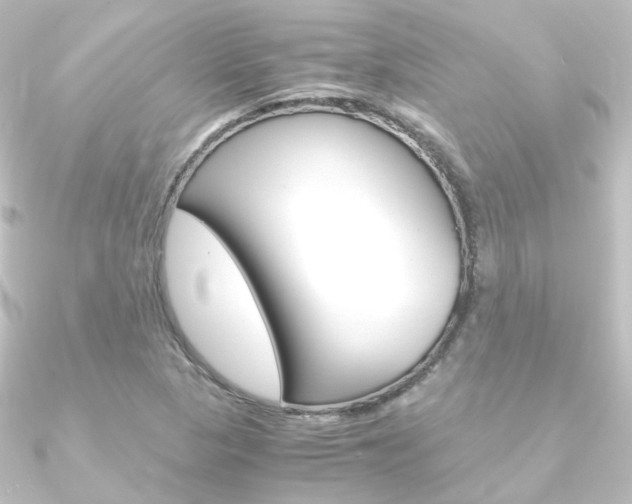 X0000090961313200708021113