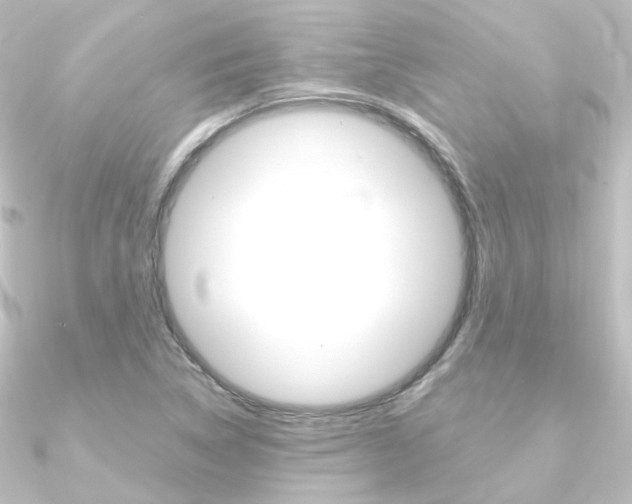 X0000090961314200708021113
