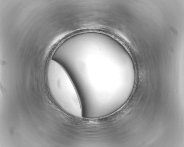X0000090961315200708021113
