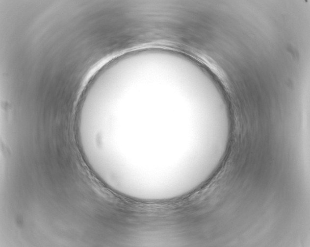 X0000090961316200708021114