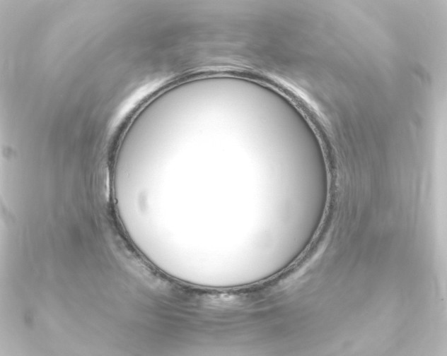 X0000090961317200708021114