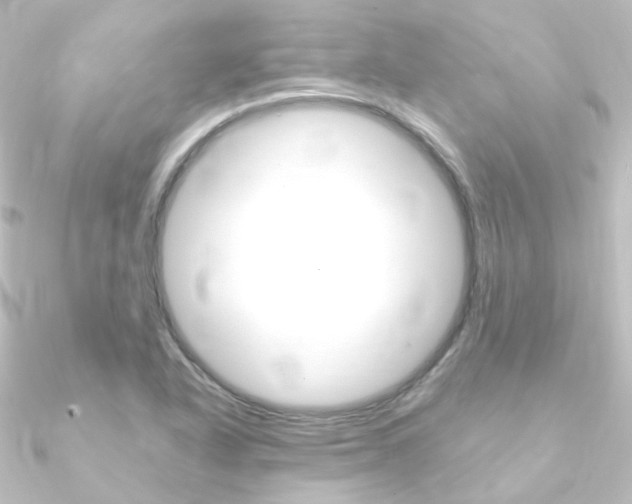 X0000090961318200708021114