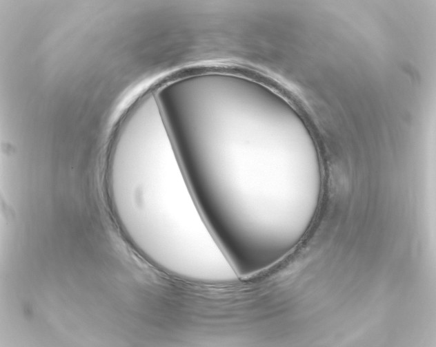 X0000090961319200708021114