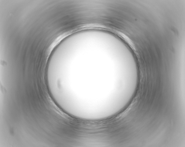 X0000090961322200708021114