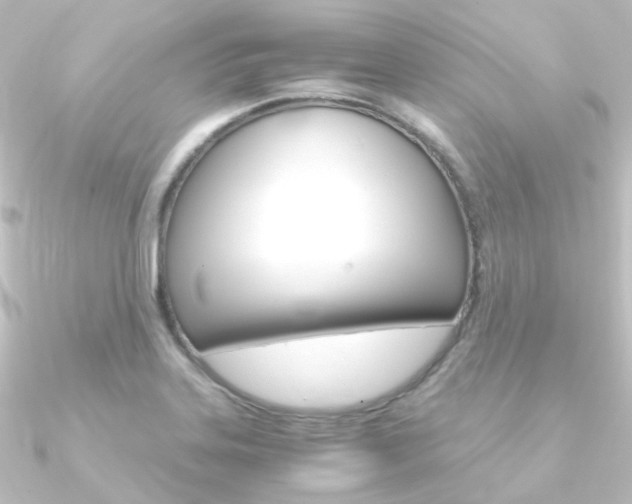 X0000090961323200708021114