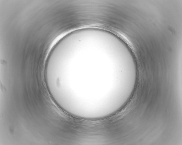 X0000090961324200708021114