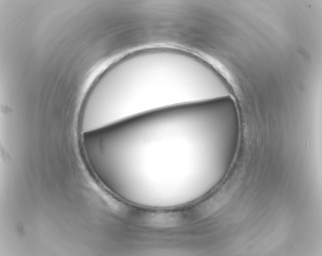 X0000090961327200708021114