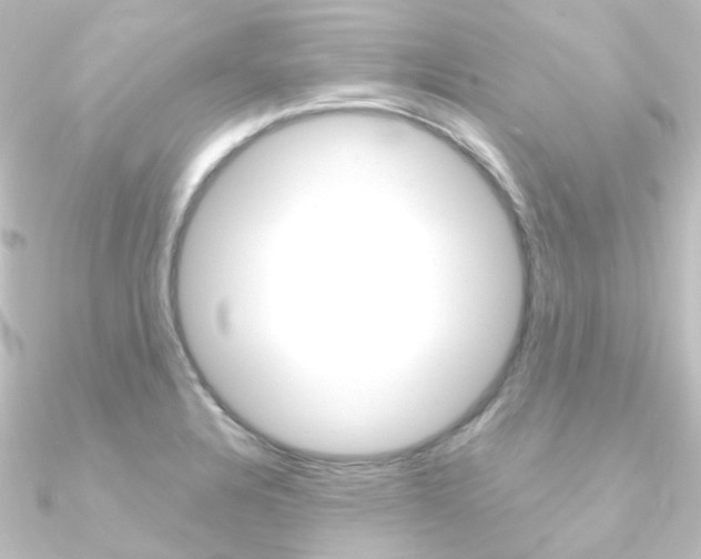 X0000090961328200708021114