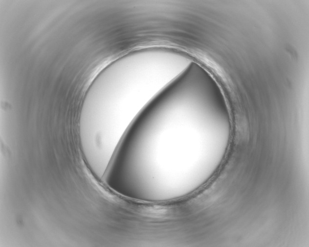 X0000090961329200708021114