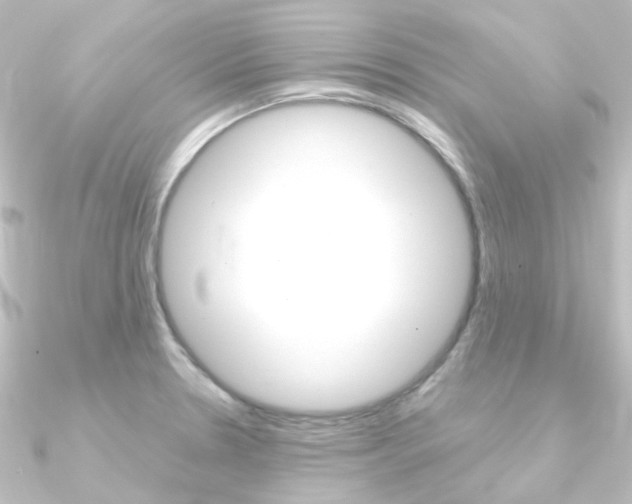 X0000090961330200708021114
