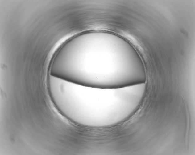 X0000090961331200708021114