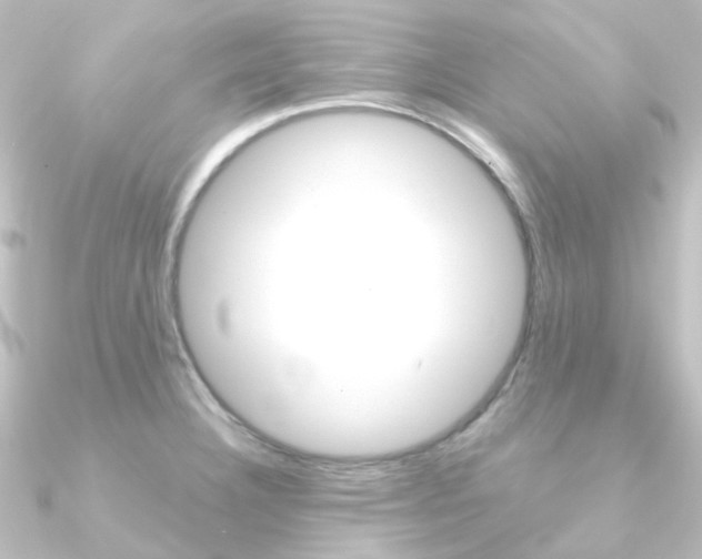 X0000090961332200708021114