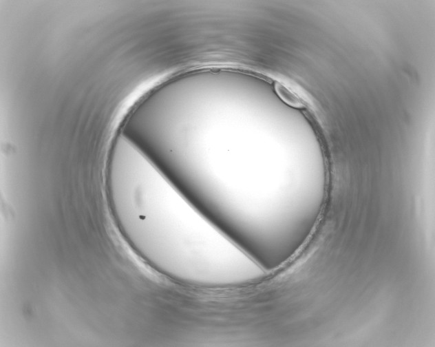 X0000090961333200708021114