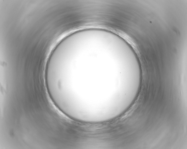 X0000090961334200708021114