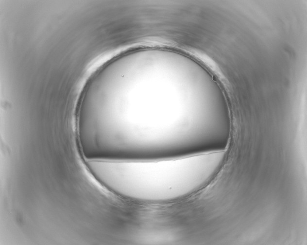 X0000090961335200708021114