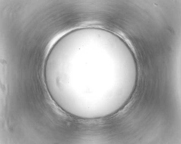 X0000090961336200708021114