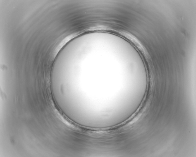 X0000090961337200708021114