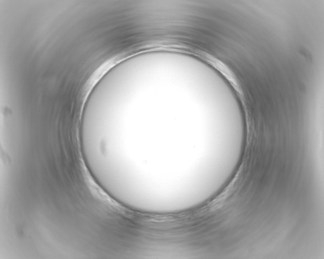 X0000090961338200708021114