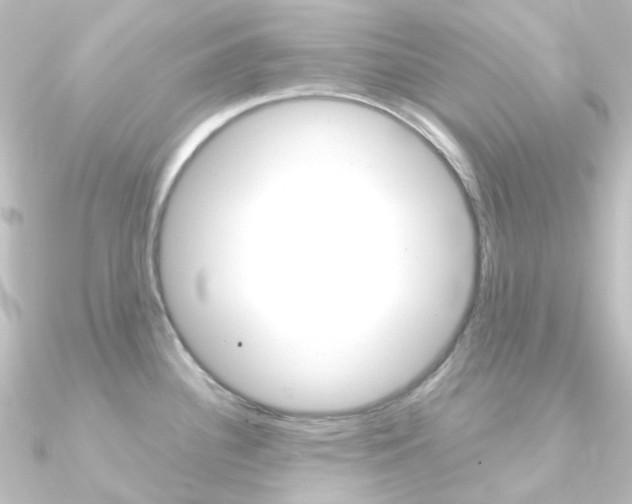 X0000090961340200708021114