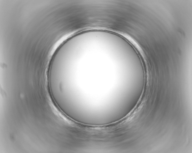 X0000090961341200708021114