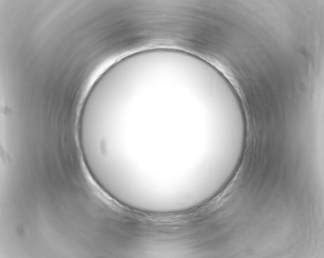X0000090961342200708021114