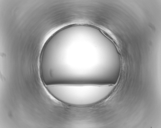 X0000090961343200708021114