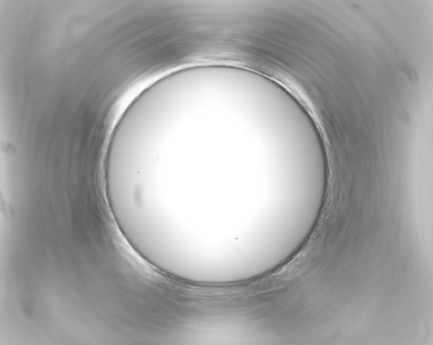 X0000090961344200708021114