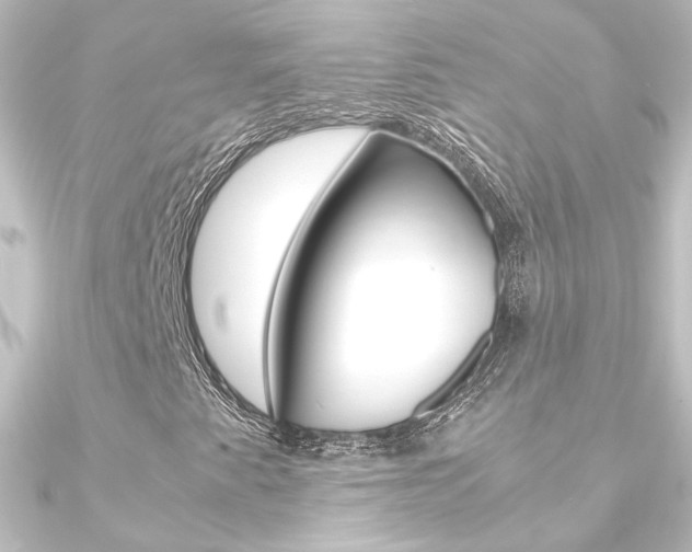 X0000090961345200708021113