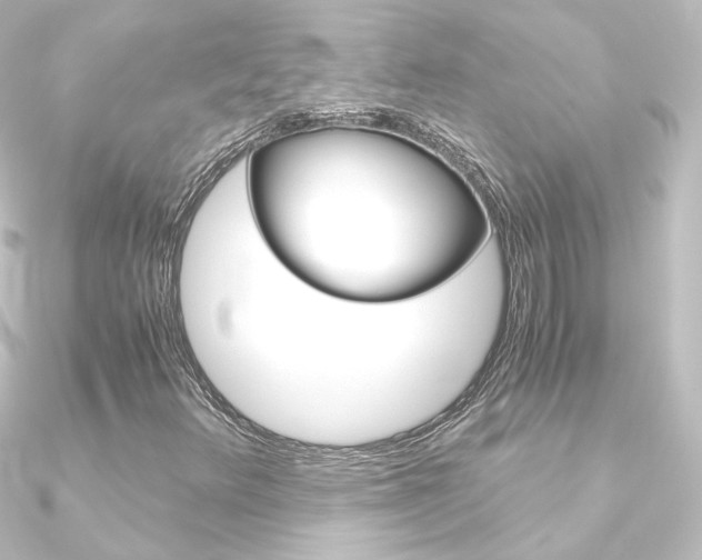 X0000090961348200708021113