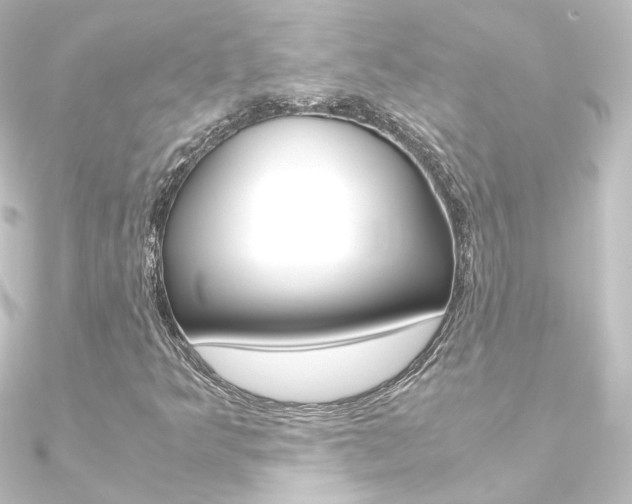 X0000090961349200708021113