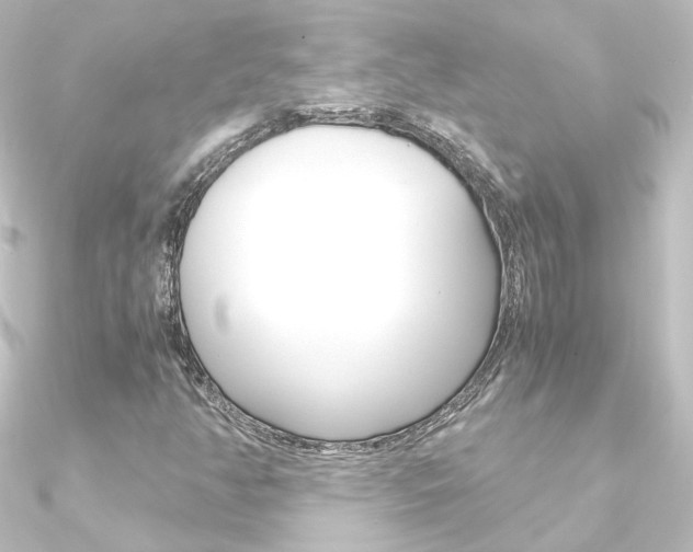 X0000090961350200708021113