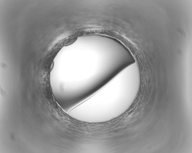 X0000090961351200708021113