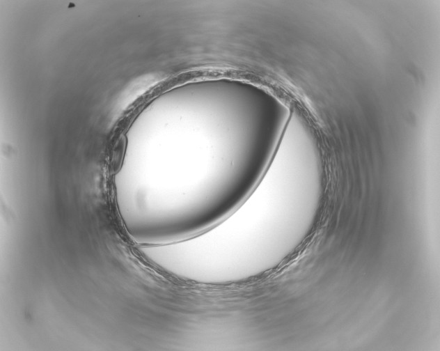 X0000090961352200708021113