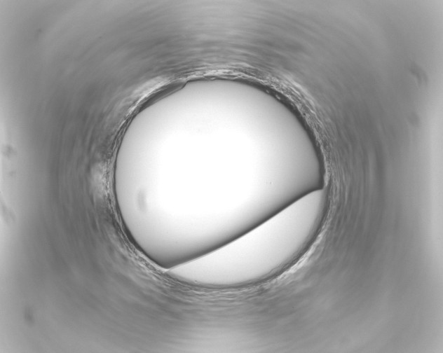X0000090961353200708021113