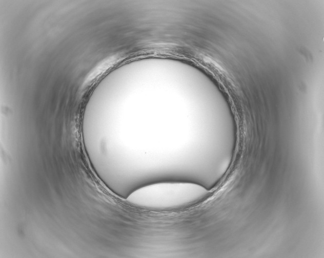 X0000090961354200708021113