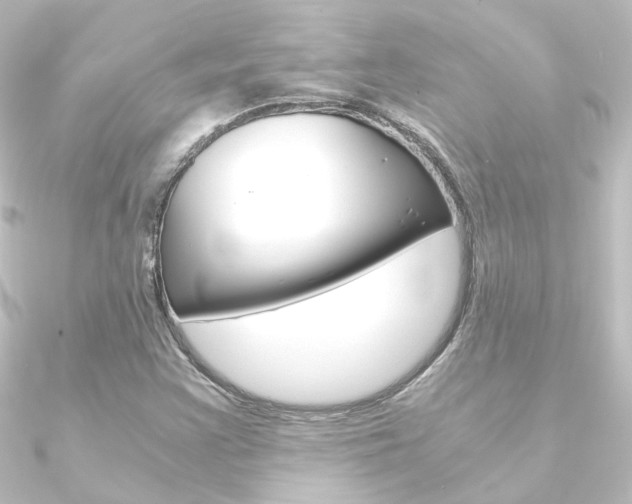 X0000090961355200708021113