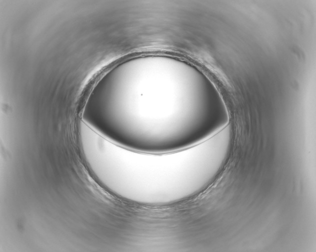 X0000090961356200708021113