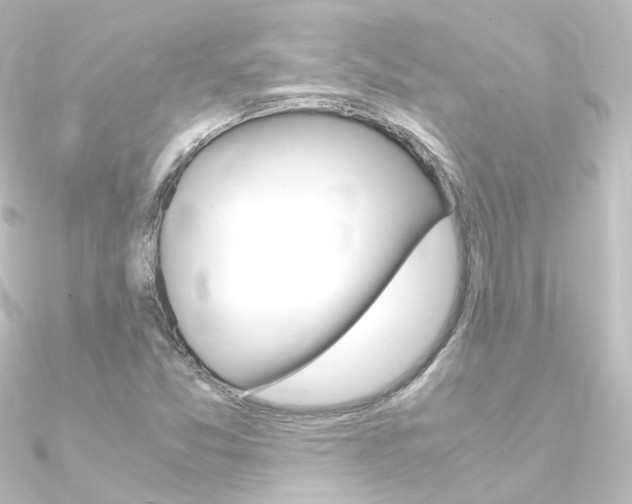 X0000090961357200708021113