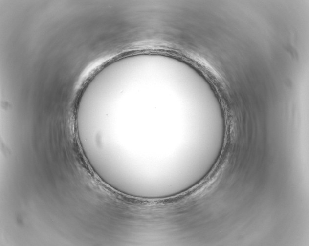 X0000090961358200708021113
