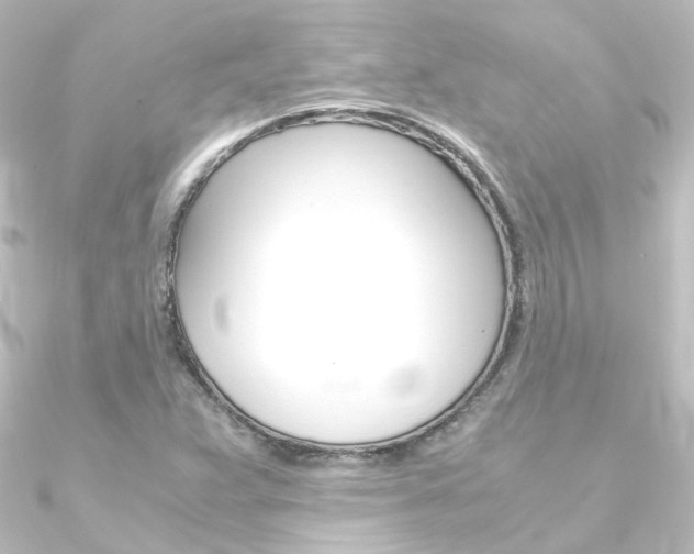 X0000090961359200708021113