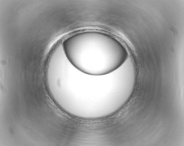 X0000090961360200708021113