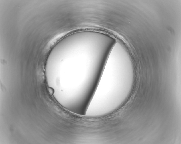 X0000090961363200708021113