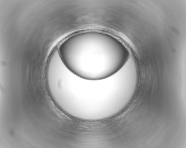 X0000090961364200708021113