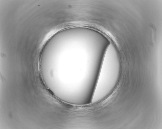 X0000090961365200708021113
