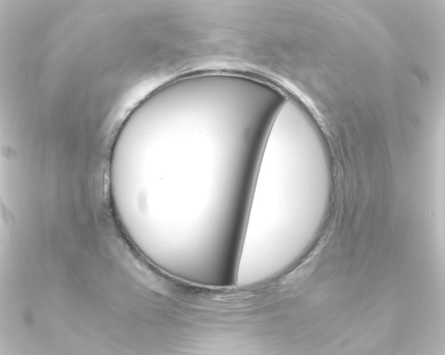 X0000090961367200708021113