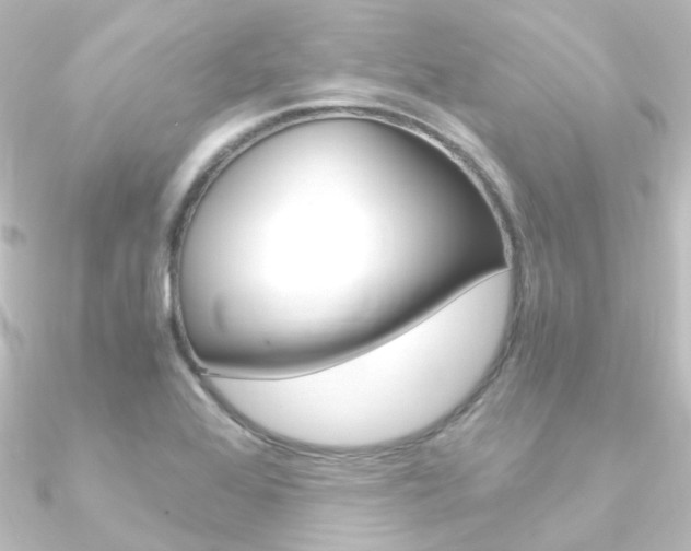 X0000090961368200708021113
