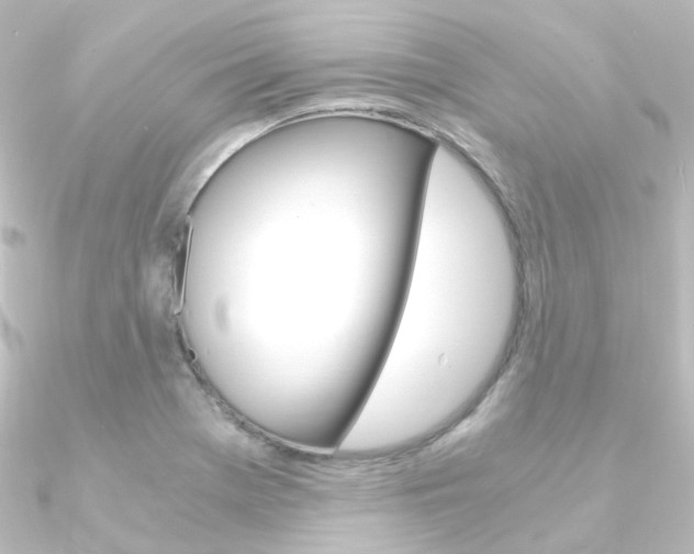 X0000090961369200708021113